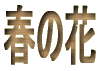�t�̉�